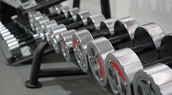 Sports & Fitness Forged Hubs