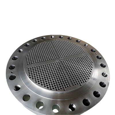Tube Sheet Disc
