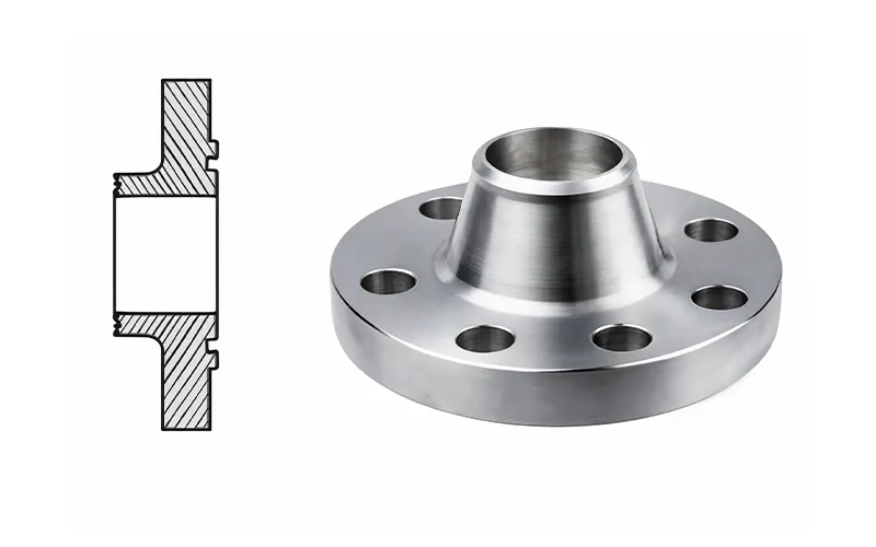 Ring Type Joint Weld Neck Flange